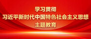 啊啊啊插逼又深又紧视频学习贯彻习近平新时代中国特色社会主义思想主题教育_fororder_ad-371X160(2)